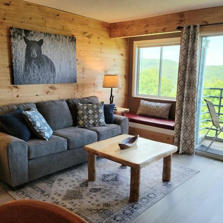 Mountain Villa Magnificent Views - 2 Pools, Fireplace & Hot Tub ガトリンバーグ エクステリア 写真